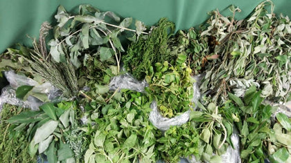 HERBS & ROOTS
