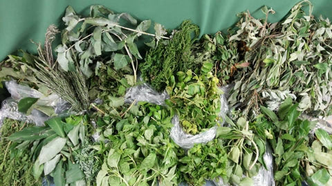 HERBS & ROOTS