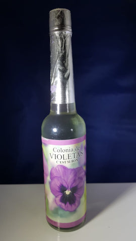 Colonia de violeta